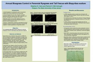 Annual Bluegrass Control in Perennial Ryegrass and Tall