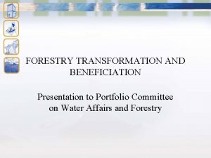 FORESTRY TRANSFORMATION AND BENEFICIATION Presentation to Portfolio Committee