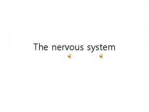 The nervous system Nervous and endocrine systems The