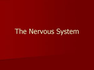 The Nervous System Nervous system is divided into