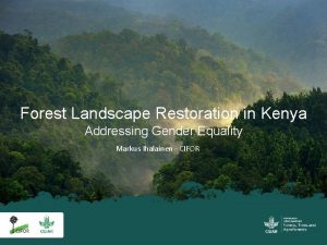 Forest Landscape Restoration in Kenya Addressing Gender Equality