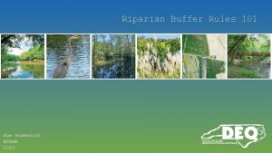 Riparian Buffer Rules 101 Sue Homewood NCDWR 2021