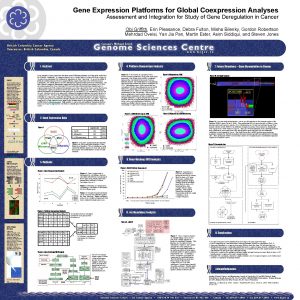 Gene Expression Platforms for Global Coexpression Analyses Assessment