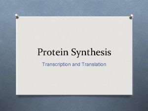 Protein Synthesis Transcription and Translation DNA O DNA