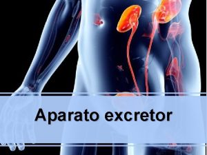 Aparato excretor La excrecin consiste en eliminar de