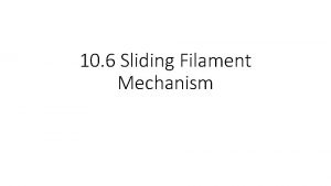 10 6 Sliding Filament Mechanism Sliding Filament Mechanism