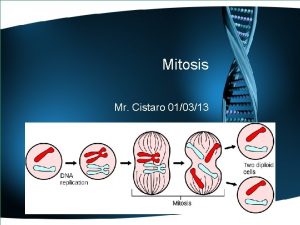 Mitosis Mr Cistaro 010313 Overview Mitosis is the