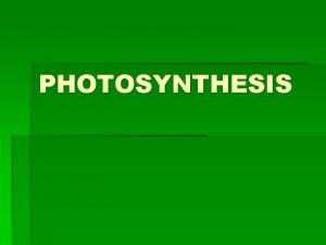 PHOTOSYNTHESIS PHOTOSYNTHESIS 1 Defined Photosynthesis is the process