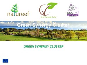 Green Synergy Cluster GREEN SYNERGY CLUSTER Mission and