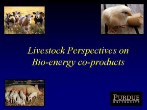 Livestock Perspectives on Bioenergy coproducts Feeding DDGS to