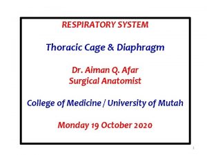 RESPIRATORY SYSTEM Thoracic Cage Diaphragm Dr Aiman Q