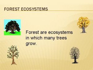 FOREST ECOSYSTEMS Forest are ecosystems in which many