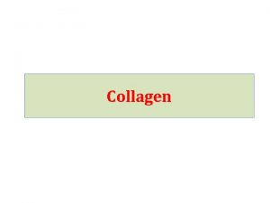 Collagen Objectives 122345 Structure of collagen Distribution of
