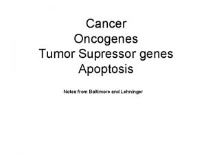 Cancer Oncogenes Tumor Supressor genes Apoptosis Notes from