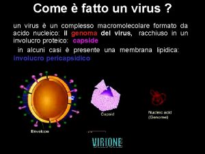 Come fatto un virus un virus un complesso