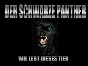Die deutsche Bezeichnung ist Panther oder Indischer Lwe