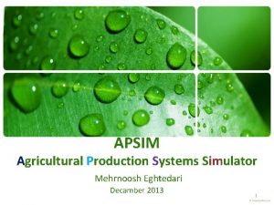 APSIM Agricultural Production Systems Simulator Mehrnoosh Eghtedari Decamber
