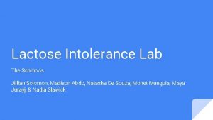 Lactose Intolerance Lab The Schmoos Jillian Solomon Madison