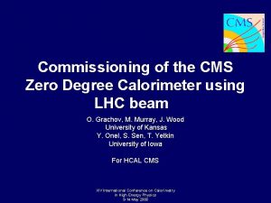 Commissioning of the CMS Zero Degree Calorimeter using