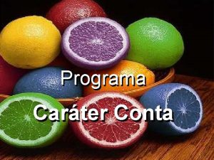 Programa Carter Conta www caraterconta ogg br 1