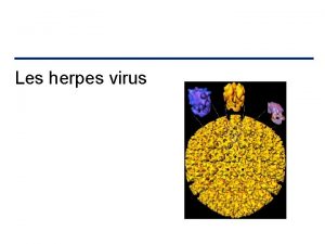 Les herpes virus La famille des herpes virus