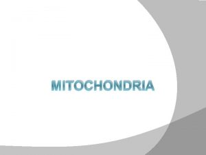 MITOCHONDRIA 1 2 3 Mitochondria The organelle that