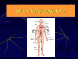 Sistem Cardiovasculer 2 Trunkus pulmonalis n n Trunkus