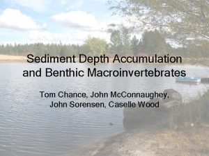 Sediment Depth Accumulation and Benthic Macroinvertebrates Tom Chance