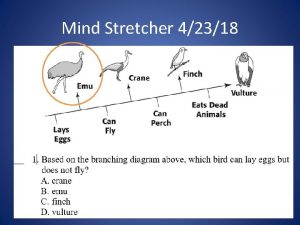 Mind Stretcher 42318 Directions Today Get out the