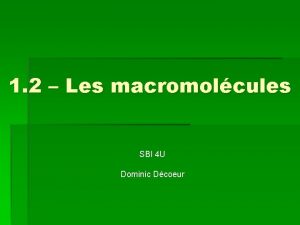 1 2 Les macromolcules SBI 4 U Dominic