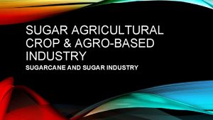 SUGAR AGRICULTURAL CROP AGROBASED INDUSTRY SUGARCANE AND SUGAR