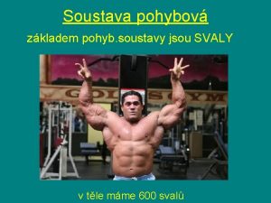 Soustava pohybov zkladem pohyb soustavy jsou SVALY v