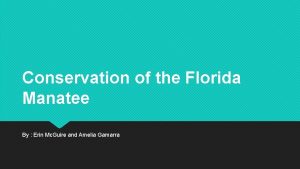 Conservation of the Florida Manatee By Erin Mc