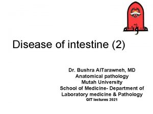 Disease of intestine 2 Dr Bushra Al Tarawneh