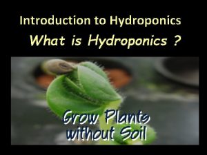 Introduction to Hydroponics What is Hydroponics Hydroponics is