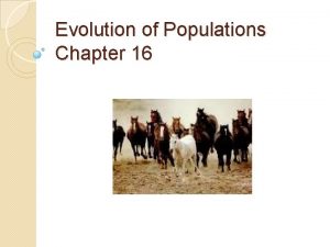 Evolution of Populations Chapter 16 I Populations gene