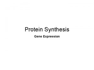 Protein Synthesis Gene Expression Protein Synthesis The process