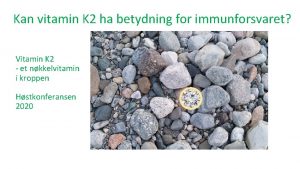 Kan vitamin K 2 ha betydning for immunforsvaret
