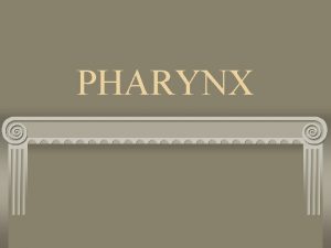 PHARYNX PHARYNX Plays a part in both digestive