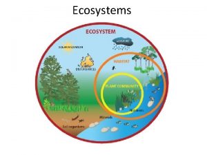 Ecosystems What is an Ecosystem An ecosystem includes