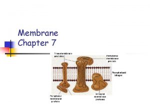 Membrane Chapter 7 Cell membrane Cell Membrane n