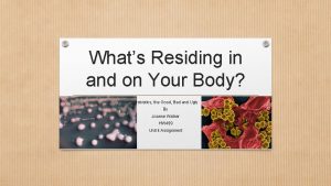 Whats Residing in and on Your Body Probiotics