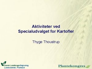 Aktiviteter ved Specialudvalget for Kartofler Thyge Thoustrup Dansk