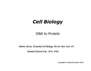 Cell Biology DNA to Protein Alberts Bruce Essential