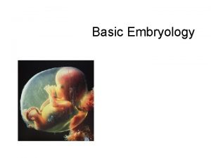 Basic Embryology Embryology Definition the study of the