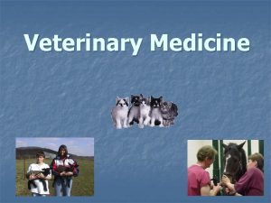 Veterinary Medicine Why People Consider Veterinary Medicine As