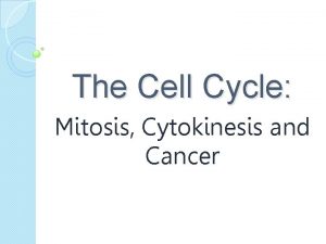 The Cell Cycle Mitosis Cytokinesis and Cancer Mitosis