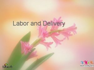 Labor and Delivery Operational Obstetrics Gynecology Bureau of