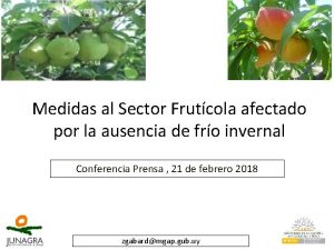 Medidas al Sector Frutcola afectado por la ausencia