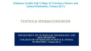 Mahatma Jyotiba Fule College of Veterinary Science and